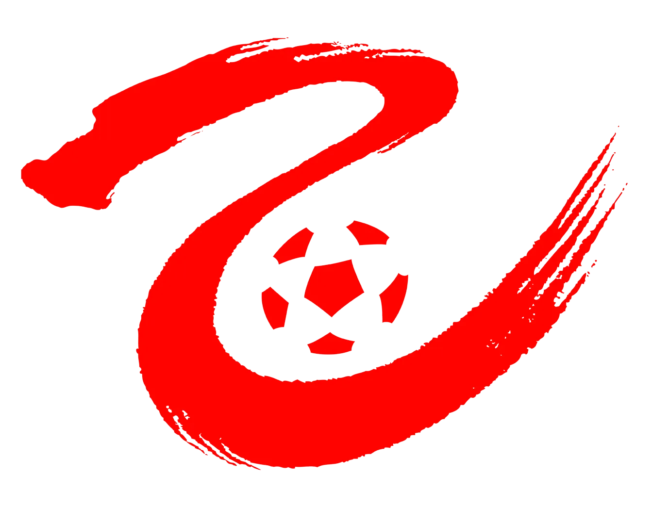 中乙 廊坊荣耀之城vs广东广州豹20240928